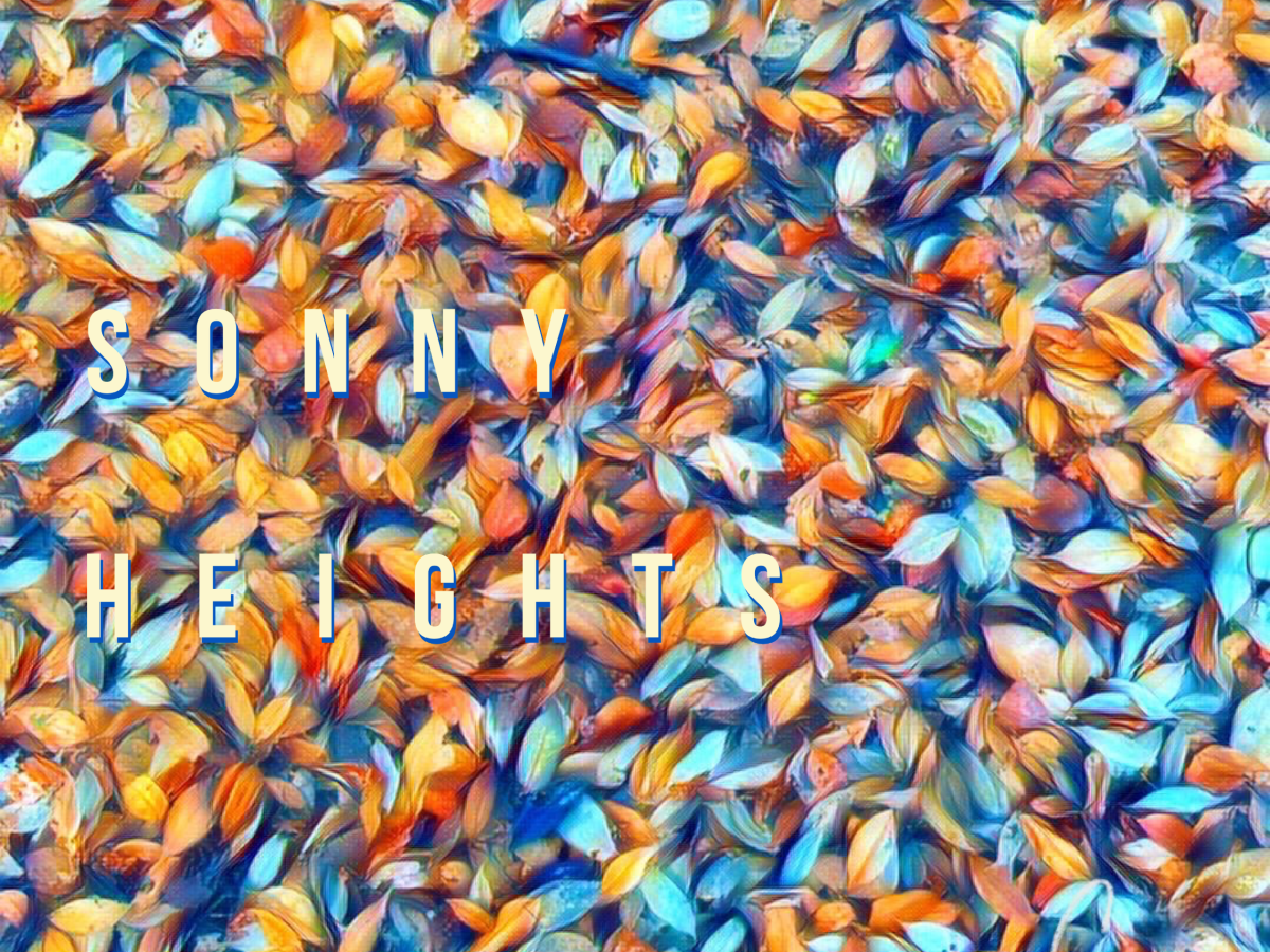 『SONNY HEIGHTS』No.008 # Free.01