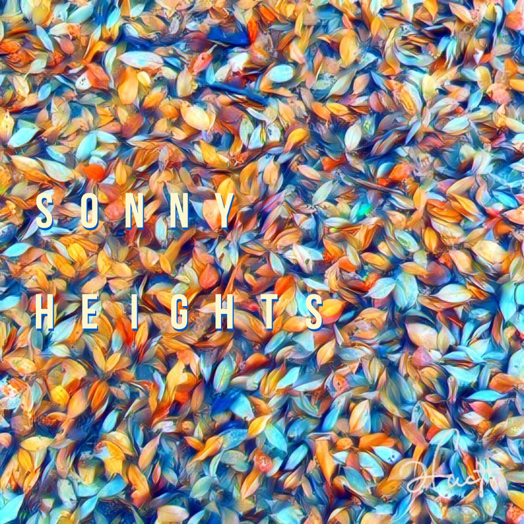 『SONNY HEIGHTS』No.008 #&nbsp;Free.01