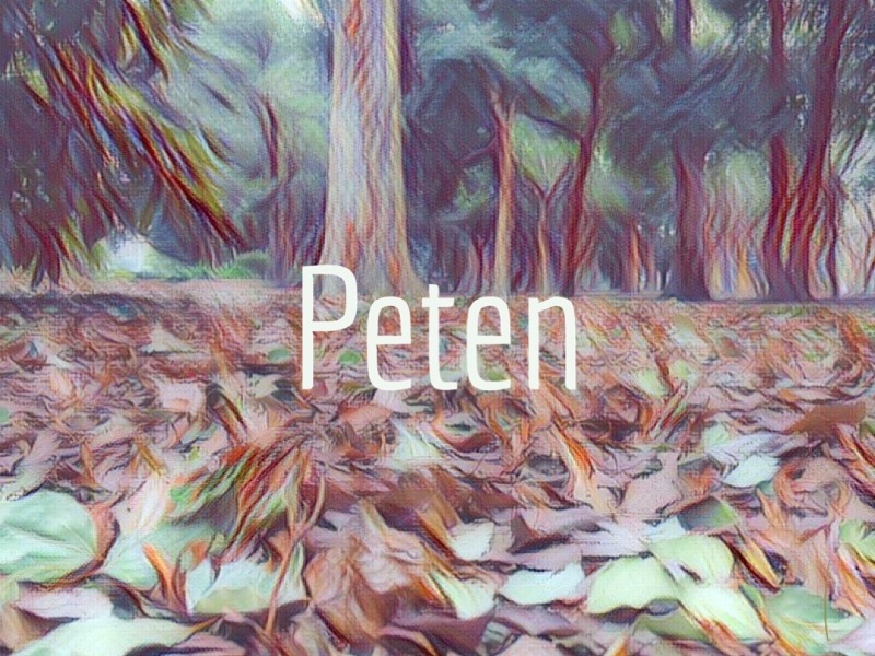 『Peten』No.006